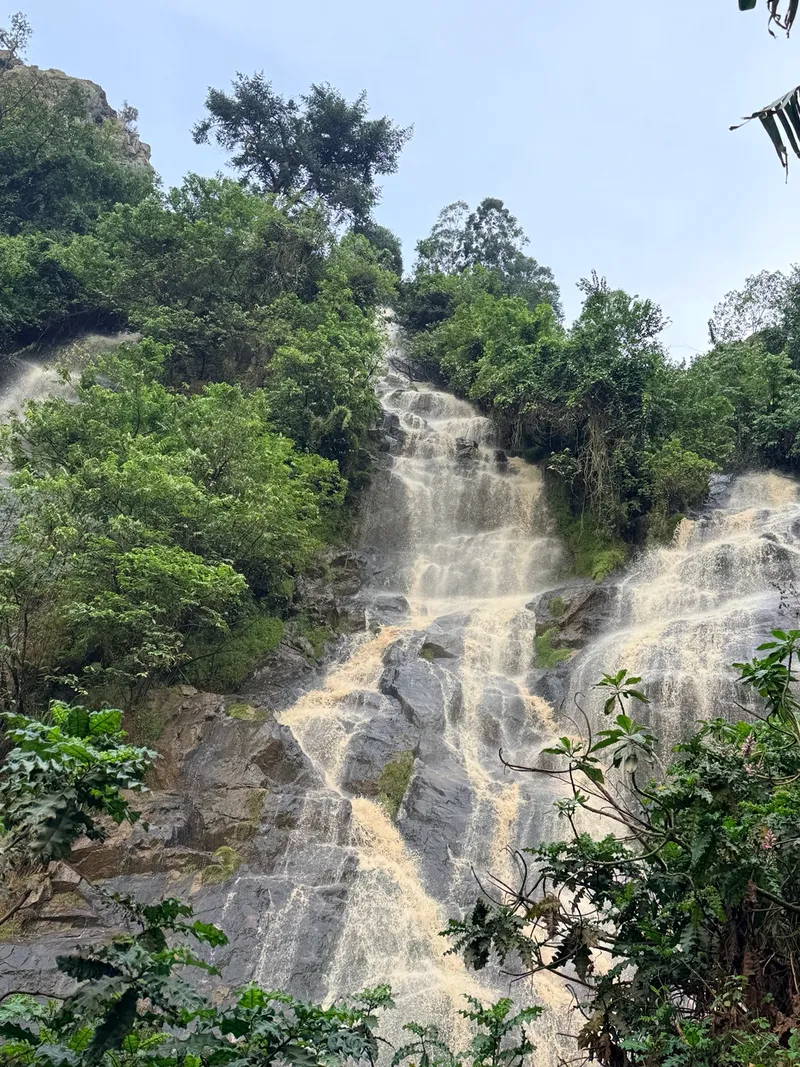 A tall waterfall running over rock through dense green vegetation, the water brown with sediment