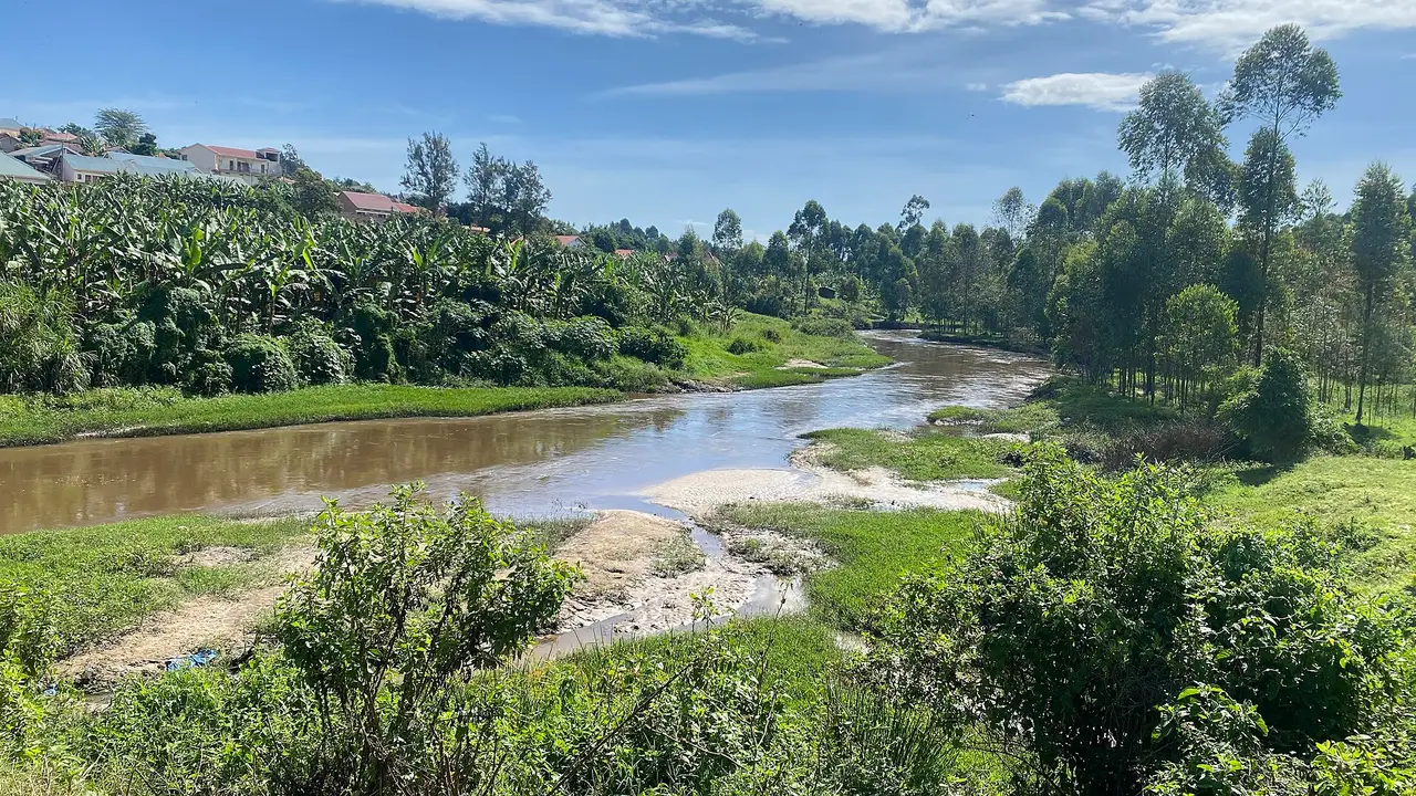 Wide view of green vegetation surrounding the River Rwizi in Mbarara